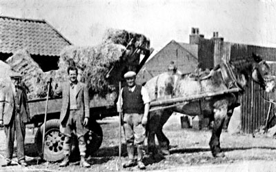 James Fowell, Peter Fowell and Medo at Hill Farm