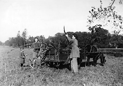 Collecting wood in Wolterton Park - November 1942